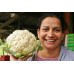 SPRAY FREE CAULIFLOWER MEDIUM Size Each LEVIN Grown